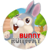 Bunny Run Way如何升级版本