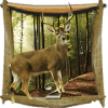 Brave Hunter 2019  deer_hunting