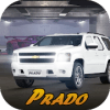 Prado Parking Pick and Drop 2019无法打开