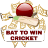 Bat To Win Cricket 2019中文版下载