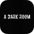 ADarkRoomiphone版下载