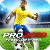 Pro Football 2019  Soccer 2019