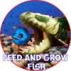 Feed and Grow Fish 2 Simulator免费下载