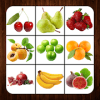 Fruits  Learning Fruits  Practice Test Sound终极版下载