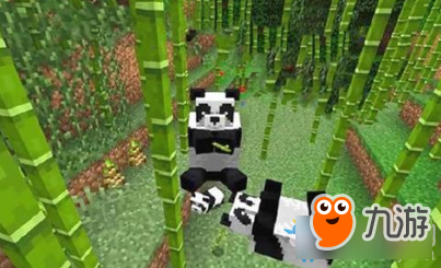 我的世界中国版熊猫介绍-我的世界中国版熊猫怎么获得