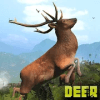 Deer Hunting Games 2019  Animal Hunting最新版下载