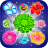 Flower Blitz版本更新