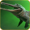 Crocodile Hunting Simulator  Wild Animal Attack无法安装怎么办