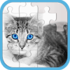 Cat Jigsaw Puzzle Games占内存小吗