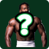 Wrestling immortal quiz版本更新