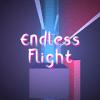 Endless Flight  Simulation