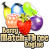 Berry Match费流量吗