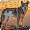 + 20000  Jigsaw Puzzles