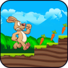 Bunny RunJungle Rabbit破解版下载