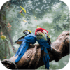 Birds Jigsaw Puzzle World