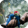 Birds Jigsaw Puzzle World安卓版下载