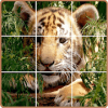 Classic Puzzle Jigsaw  Animals下载地址