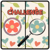 Five Differences Challenge最新安卓下载