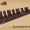 Xylophone Real 2 mallet types