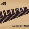 Xylophone Real 2 mallet types占内存小吗