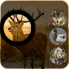 Jungle Animal Sniper Hunting Adventure 3D