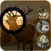 Jungle Animal Sniper Hunting Adventure 3D怎么安装