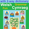 Grammar Fun Welsh Cymraeg