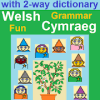 Grammar Fun Welsh Cymraeg无法打开