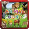 Animal Sounds & Animal Names最新安卓下载