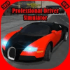 Professional Driver  Car Racing 20192020手机版下载