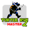 Turtle Run Master 2无法打开