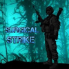 Surgical Strike最新版下载