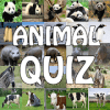 Animal Quiz 2019