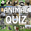 Animal Quiz 2019费流量吗