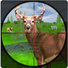 Wild Animal Shooting Deer Hunter 3diphone版下载