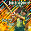 Championship Cricket 2019 World Tour无法打开