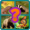 Guess The Animal Picture
