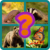 Guess The Animal Picture怎么下载