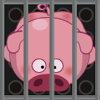 Clever Big Pig By Clever Tech无法安装怎么办