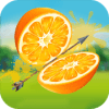 Fruit Cut 3D  3D Archery Shooting Game