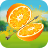 Fruit Cut 3D  3D Archery Shooting Game官方版免费下载