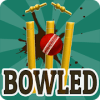 Bowled 3D  Cricket Game