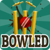 Bowled 3D  Cricket Game官方版免费下载