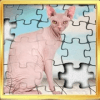 Sphynx cats jigsaw puzzle