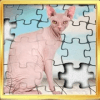 Sphynx cats jigsaw puzzle免费下载