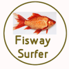Fishway Surfer