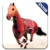 Angry Horse Racing 3D Simulator占内存小吗