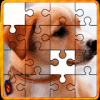 jigsaw puzzle free 2019