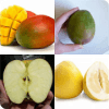 Fruits or Vegetables 2019绿色版下载