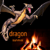 Dragon Survival  Spin the Dragon无法打开